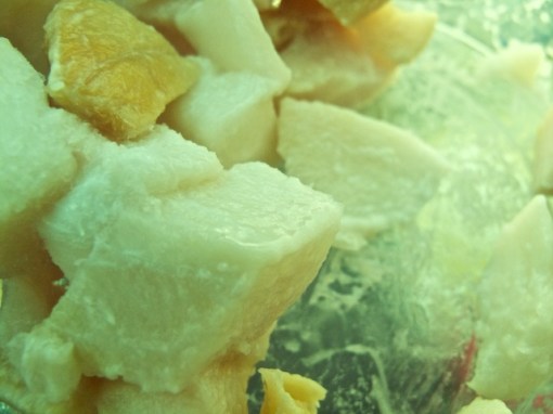 Putrified Icelandic Shark